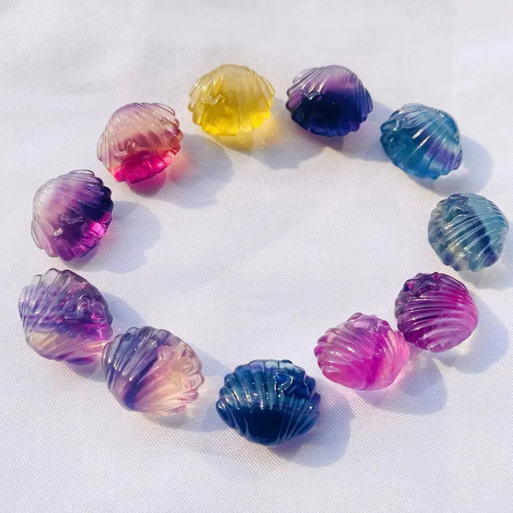 Natural Rainbow  Mini Sea Conch Healing Stone